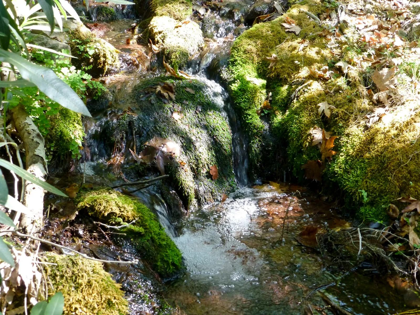 Petit ruisseau qui cascade entre des rochers couverts de mousse dans les gorges de Richtis