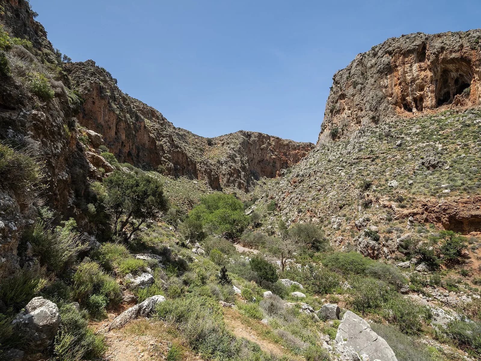 Garrigue verte au printemps et falaise percée de grottes le long du sentier de la vallée des Morts