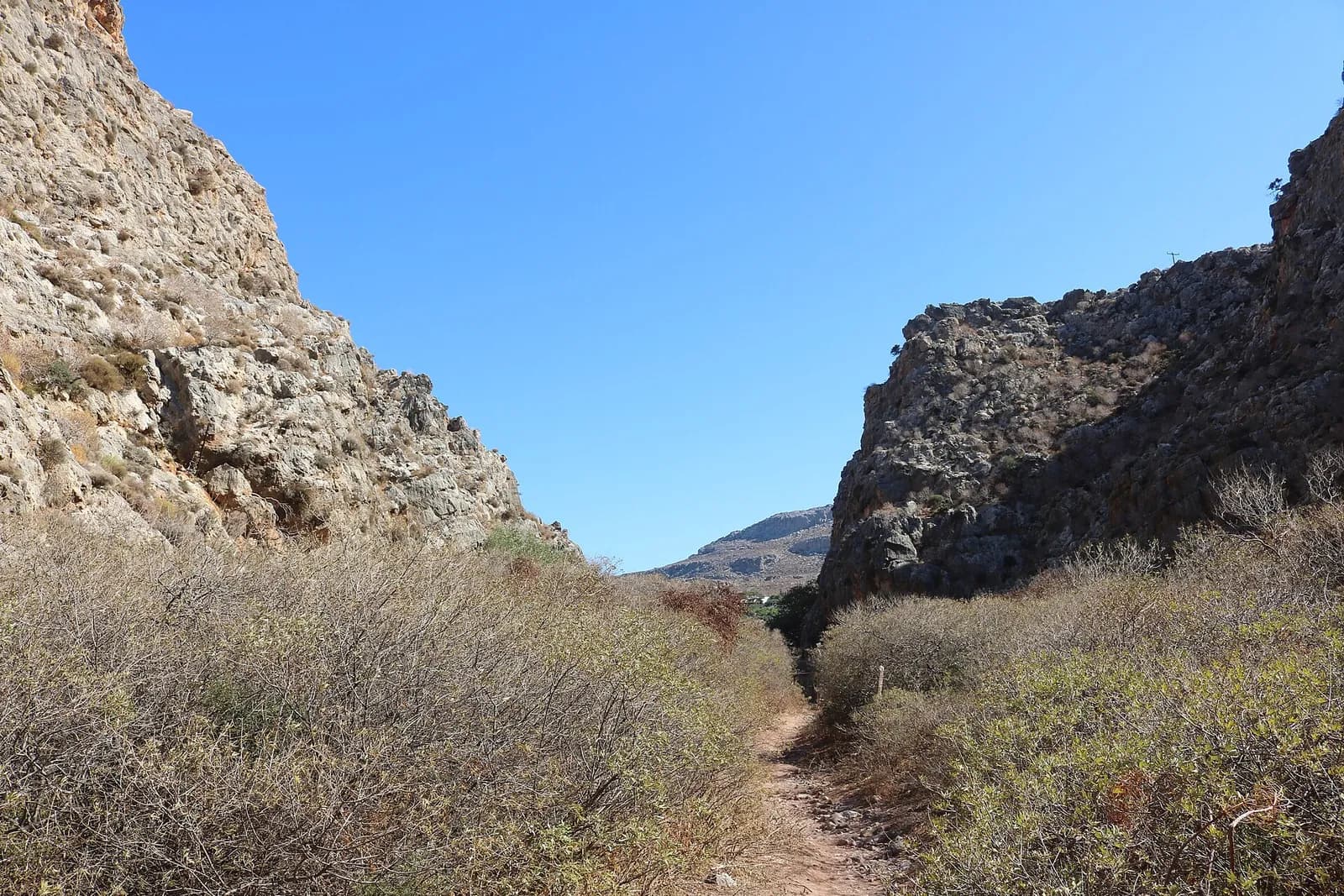 Sentier étroit entre les buissons et les parois calcaires dans la partie basse de la vallée des Morts
