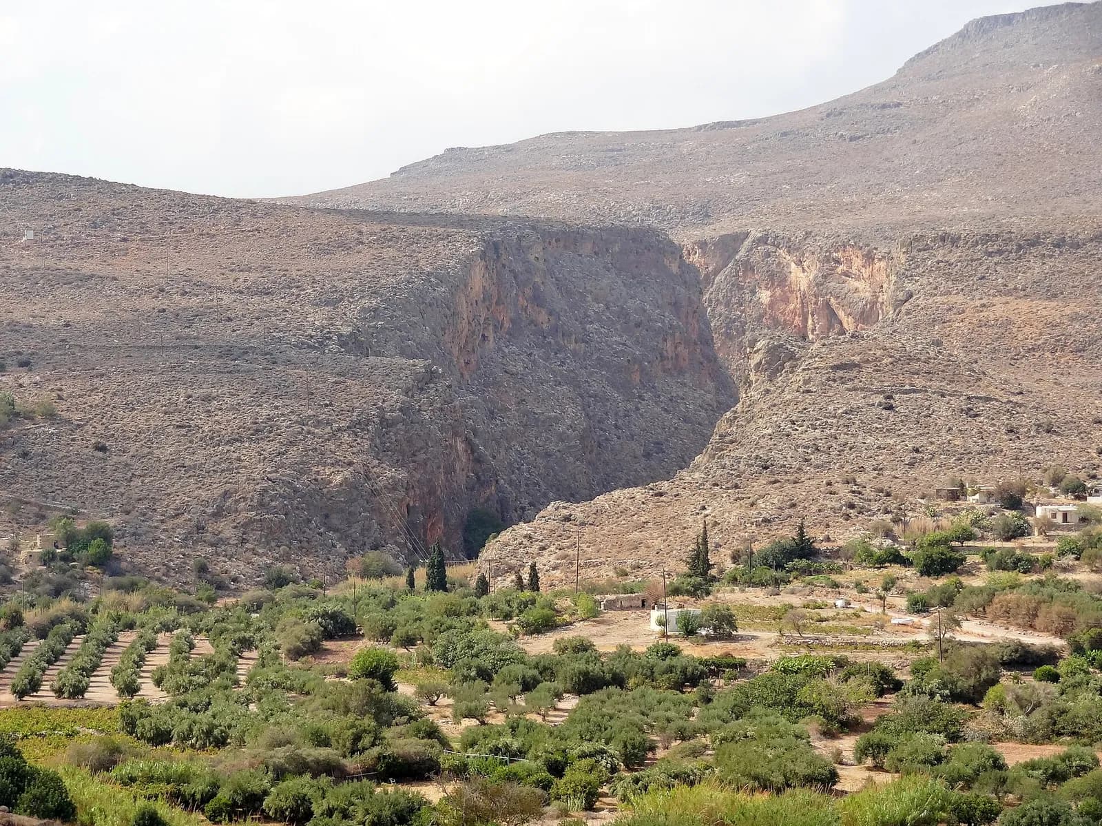 Débouché de la vallée des Morts entre ses falaises ocre, au-dessus des oliveraies de Kato Zakros
