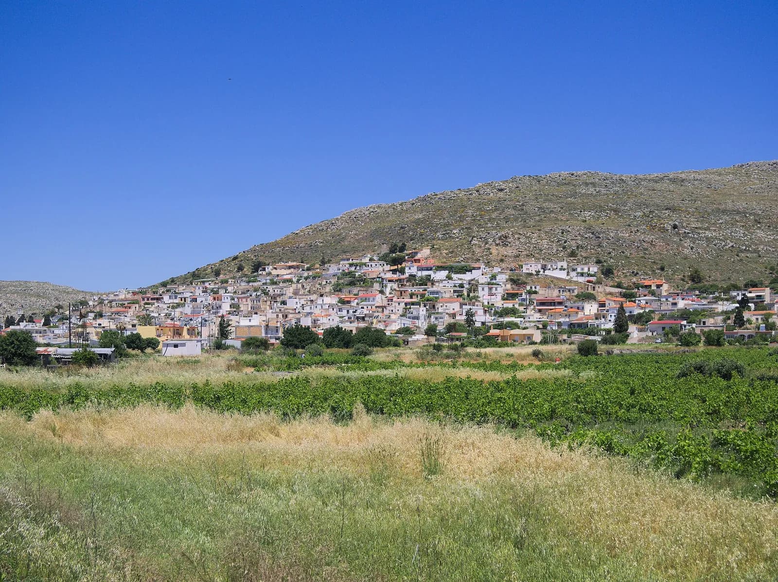 Le village de Ziros au pied de sa colline, avec des vignes au premier plan sur le plateau