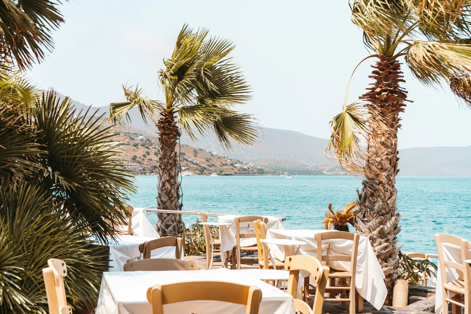 Terrasse de taverne sous les palmiers face au golfe d'Elounda et à ses collines