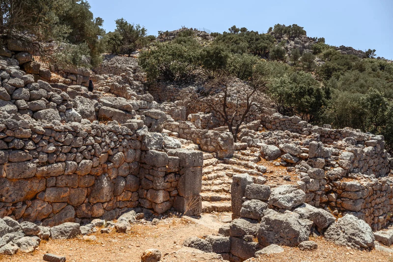 La rue à degrés et les murs de pierre sèche de la cité dorienne de Lato, au-dessus de Kritsa