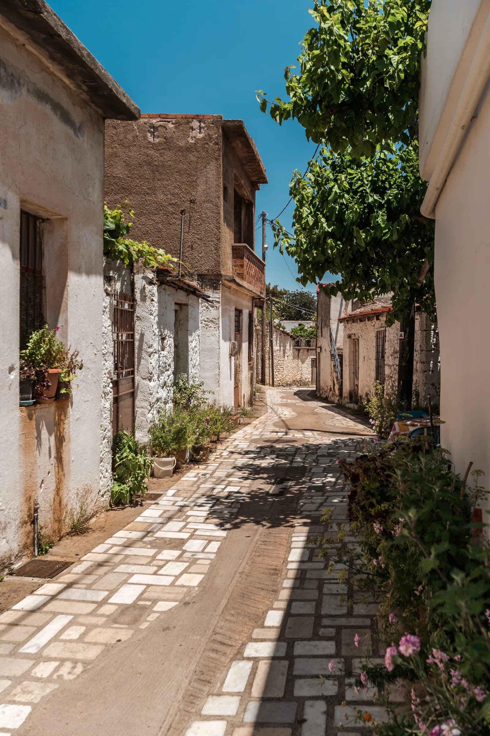 Paved lane lined with old houses and greenery in a village inland in eastern Crete