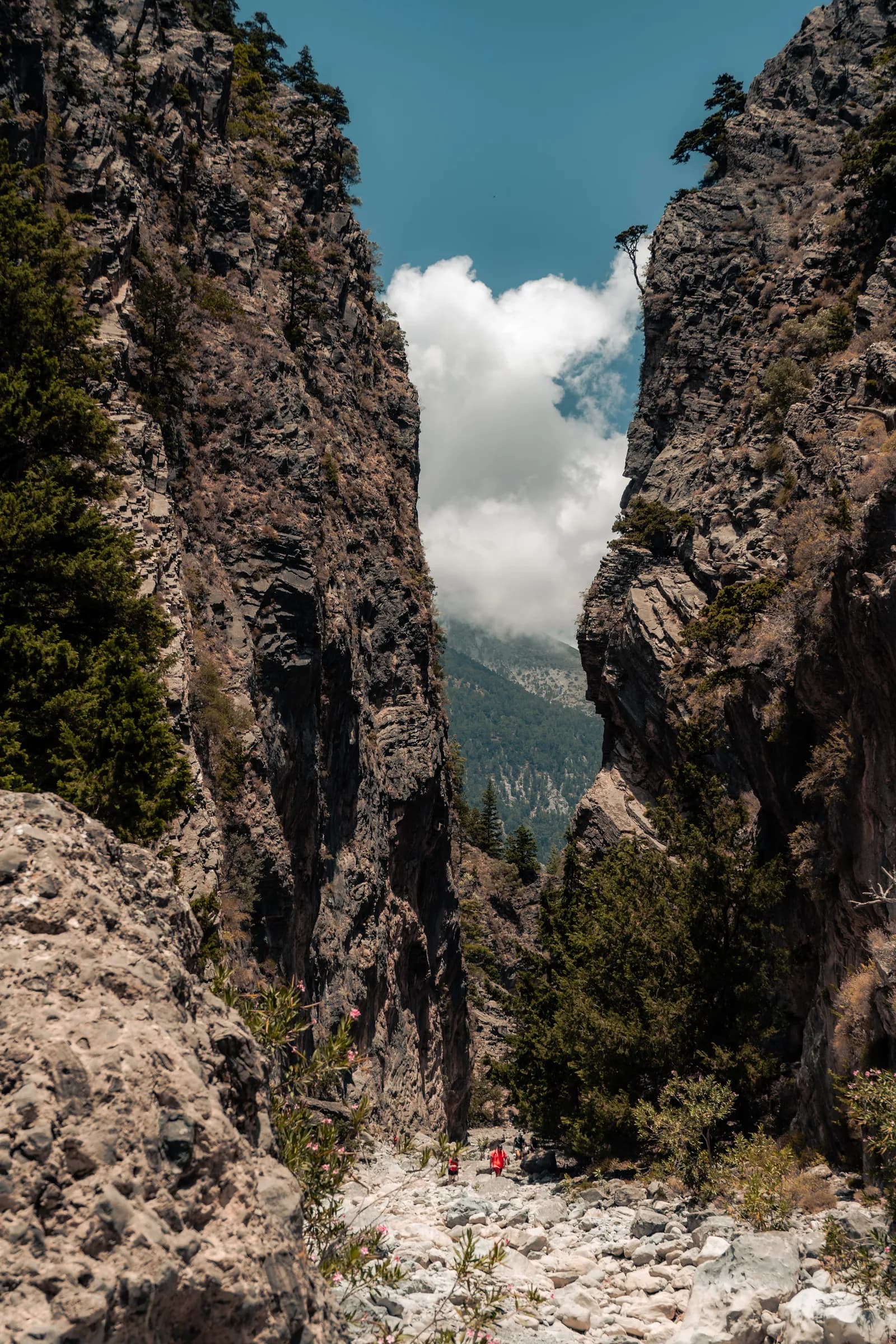The sheer walls of the Samaria gorge close in above the pebbly bed of the stream