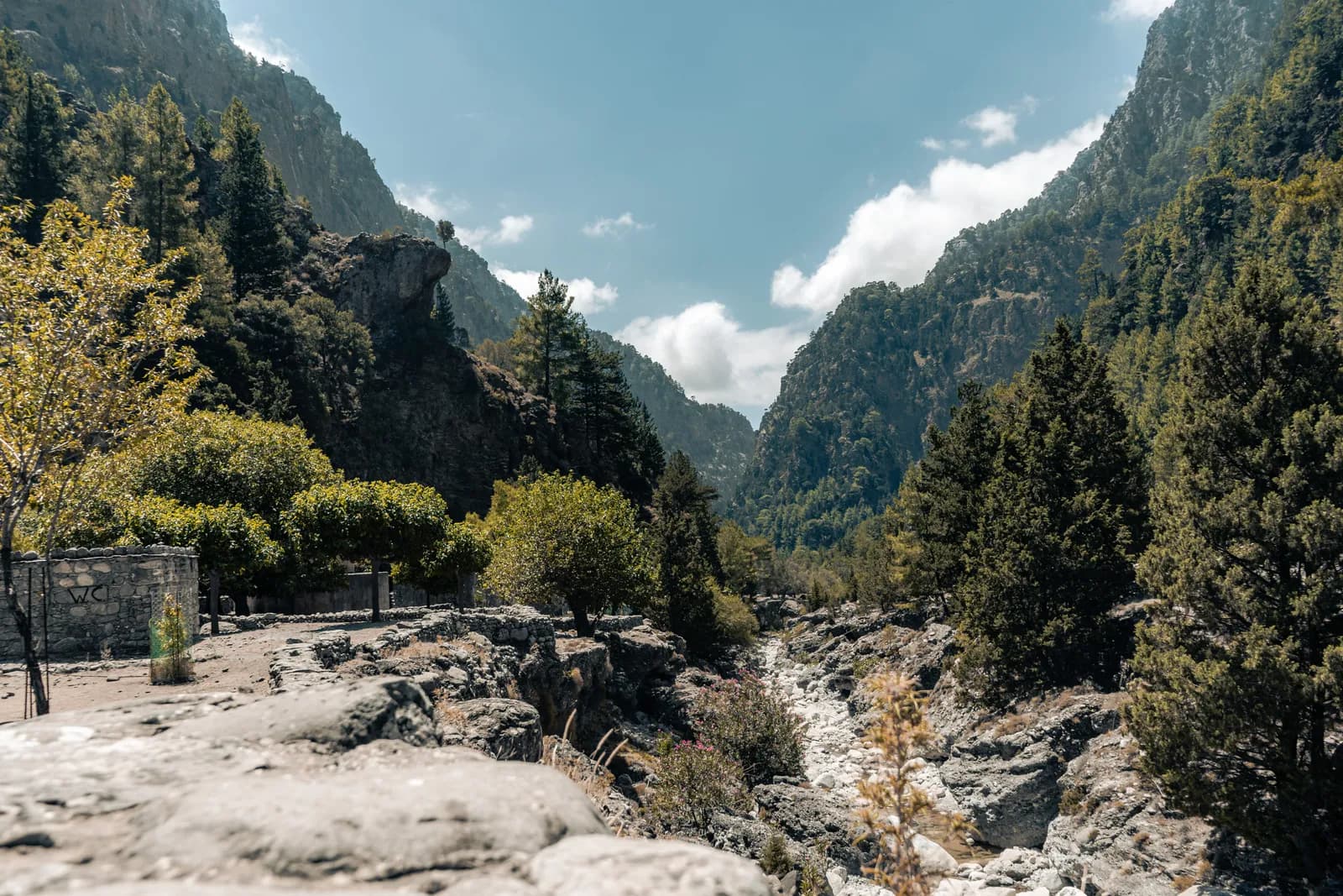 Lit de rivière pierreux entre les pins et les hautes parois boisées des gorges de Samaria