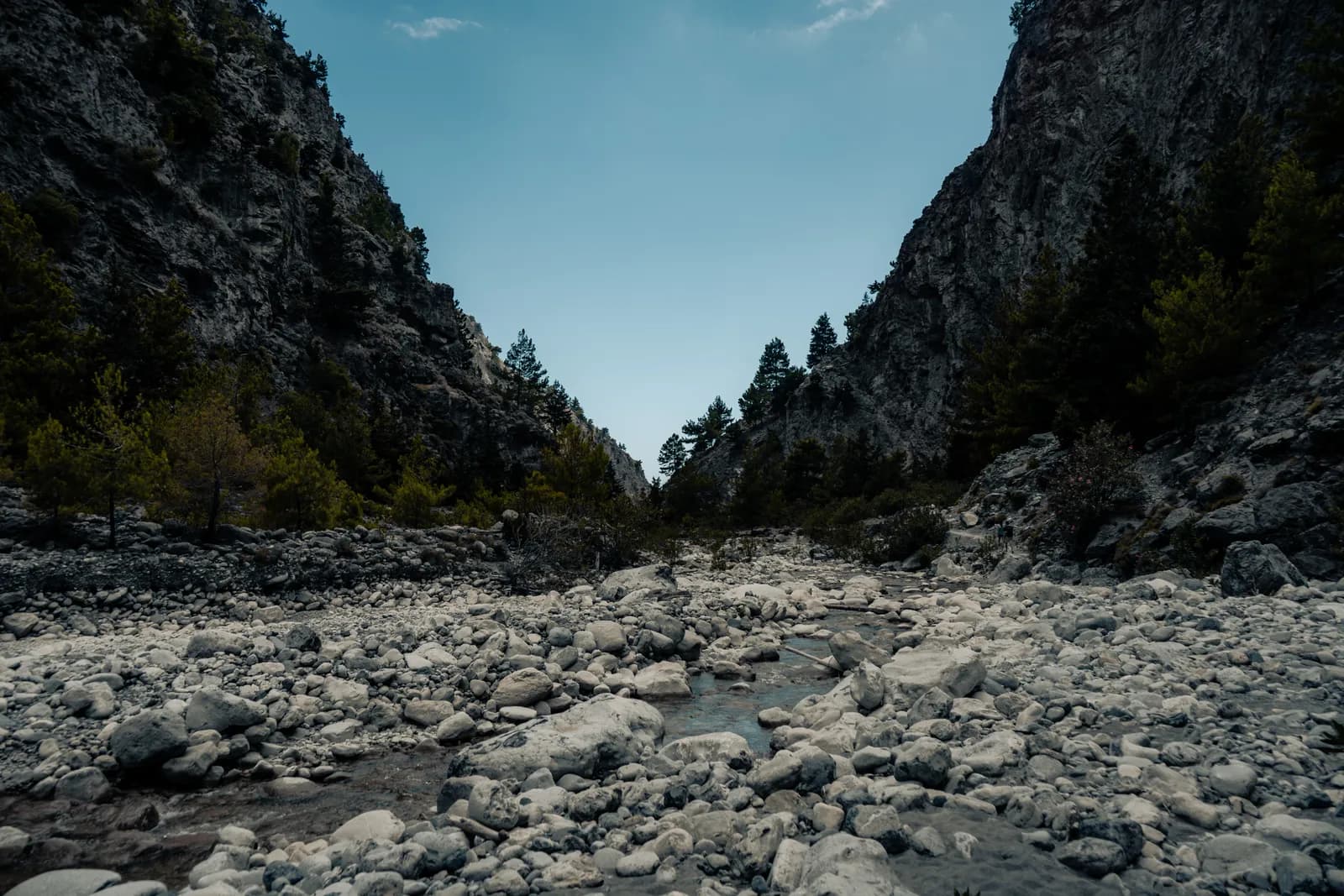Lit de galets et filet d'eau entre les hautes parois rocheuses et les pins des gorges de Samaria