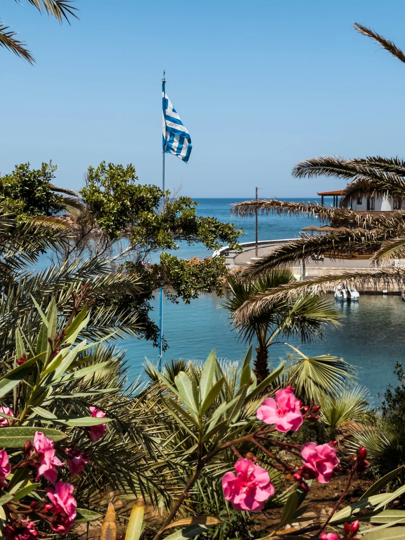 Drapeau grec flottant au-dessus des palmiers et des lauriers-roses du port de Sisi
