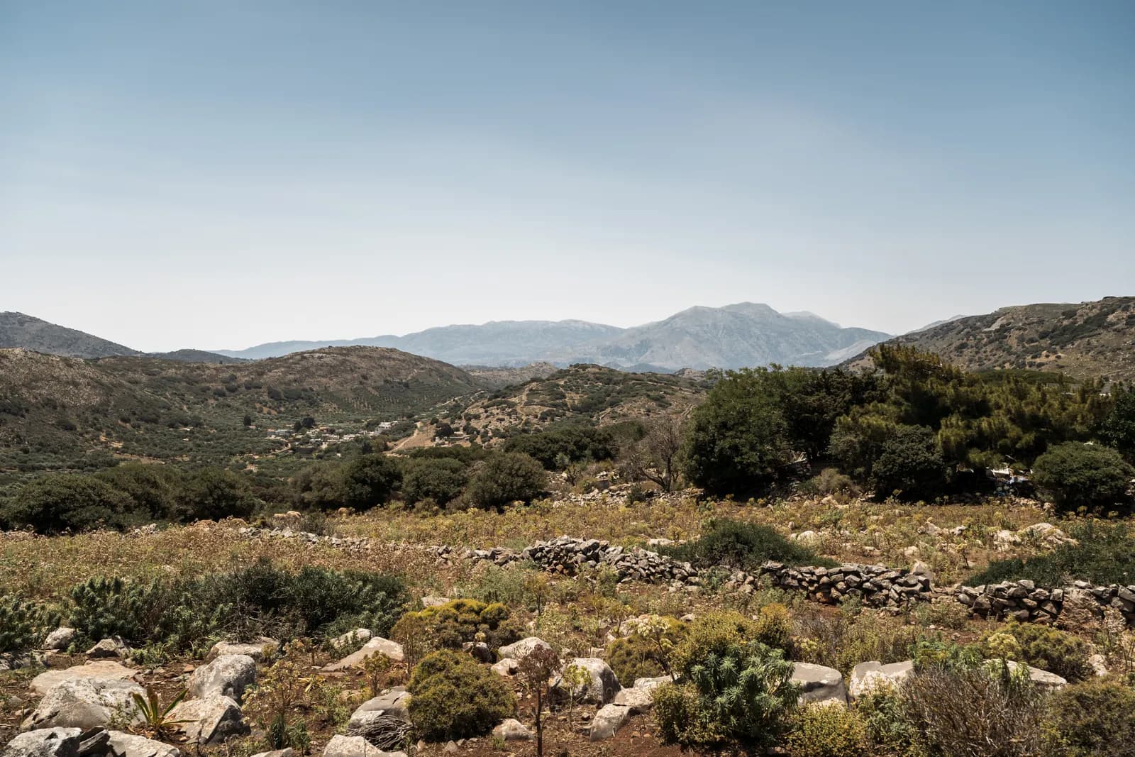 Garrigue caillouteuse, murets de pierre sèche et montagnes dans l'arrière-pays de Plaka, terrain des herbes sauvages