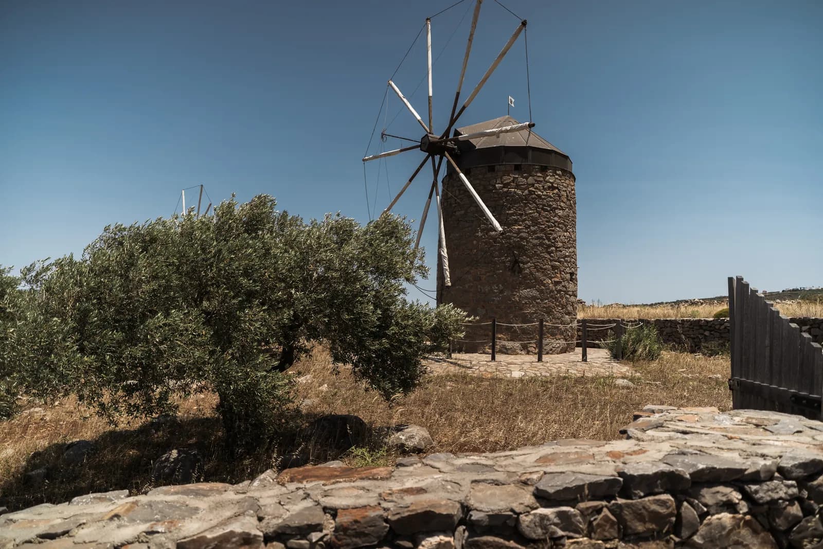 Ancien moulin à vent en pierre restauré parmi les oliviers, sur les collines au nord de Plaka