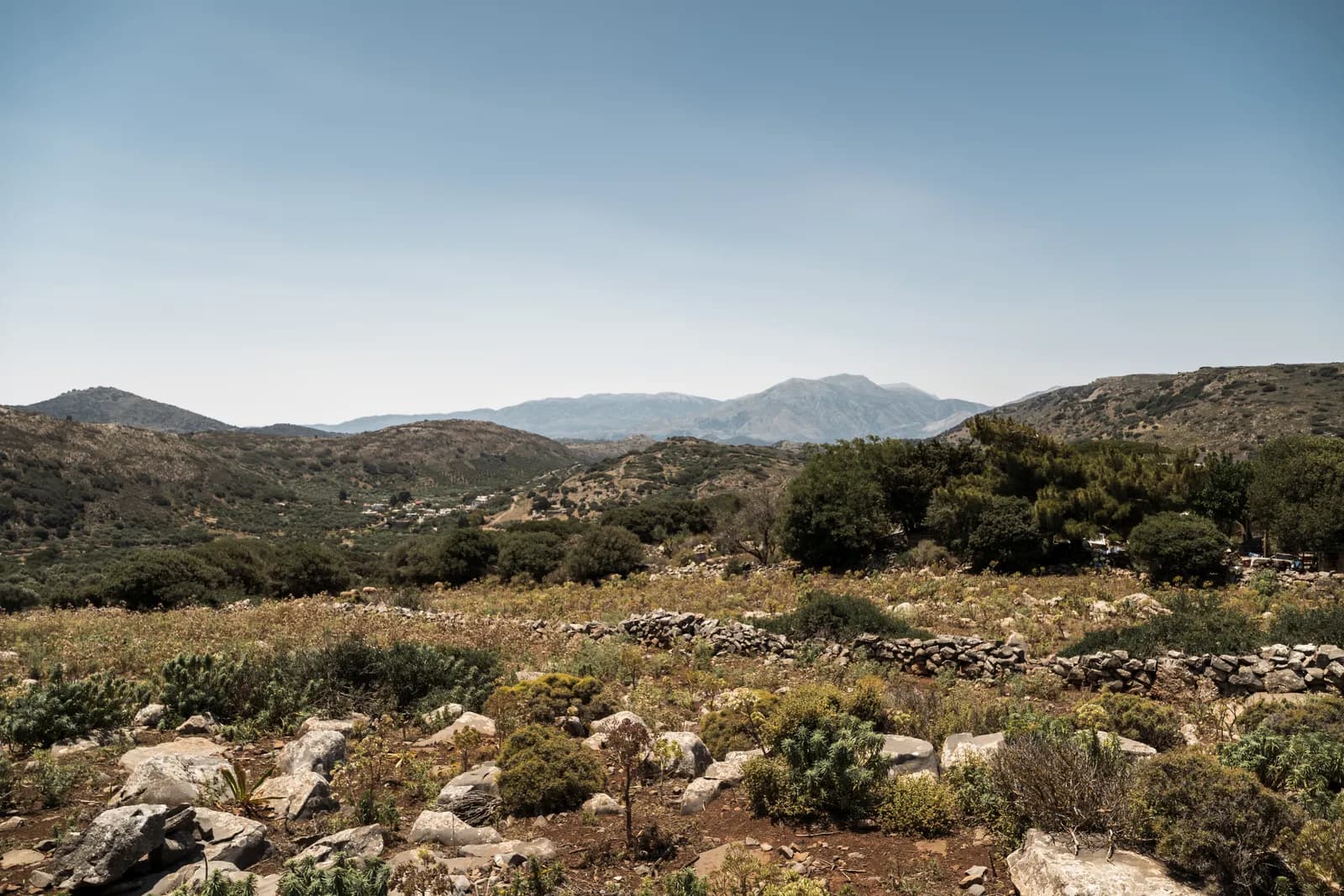 Garrigue, murets de pierre sèche et oliviers sous les montagnes, dans l'arrière-pays au nord de Plaka