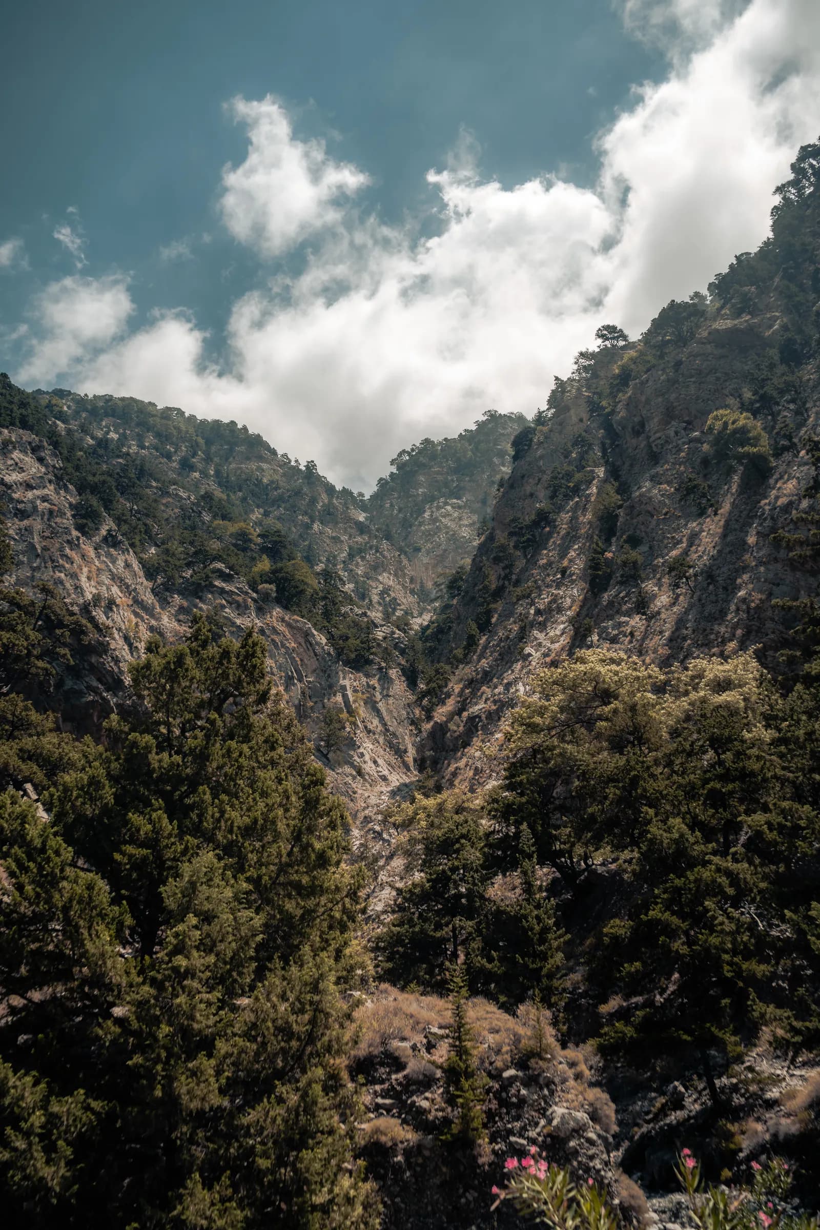 Versants boisés de pins et sommets sous les nuages dans les gorges de Samaria, à l'ouest de la Crète