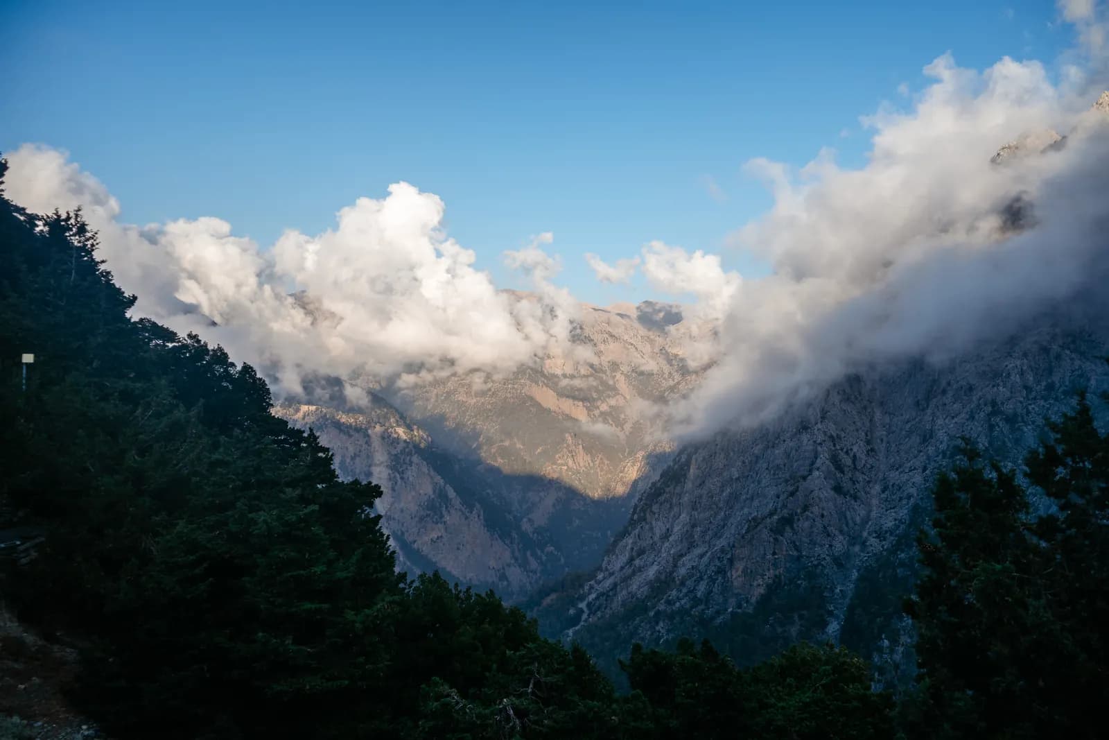 Nuages accrochés aux sommets des Montagnes Blanches au-dessus des forêts de pins de l'ouest crétois