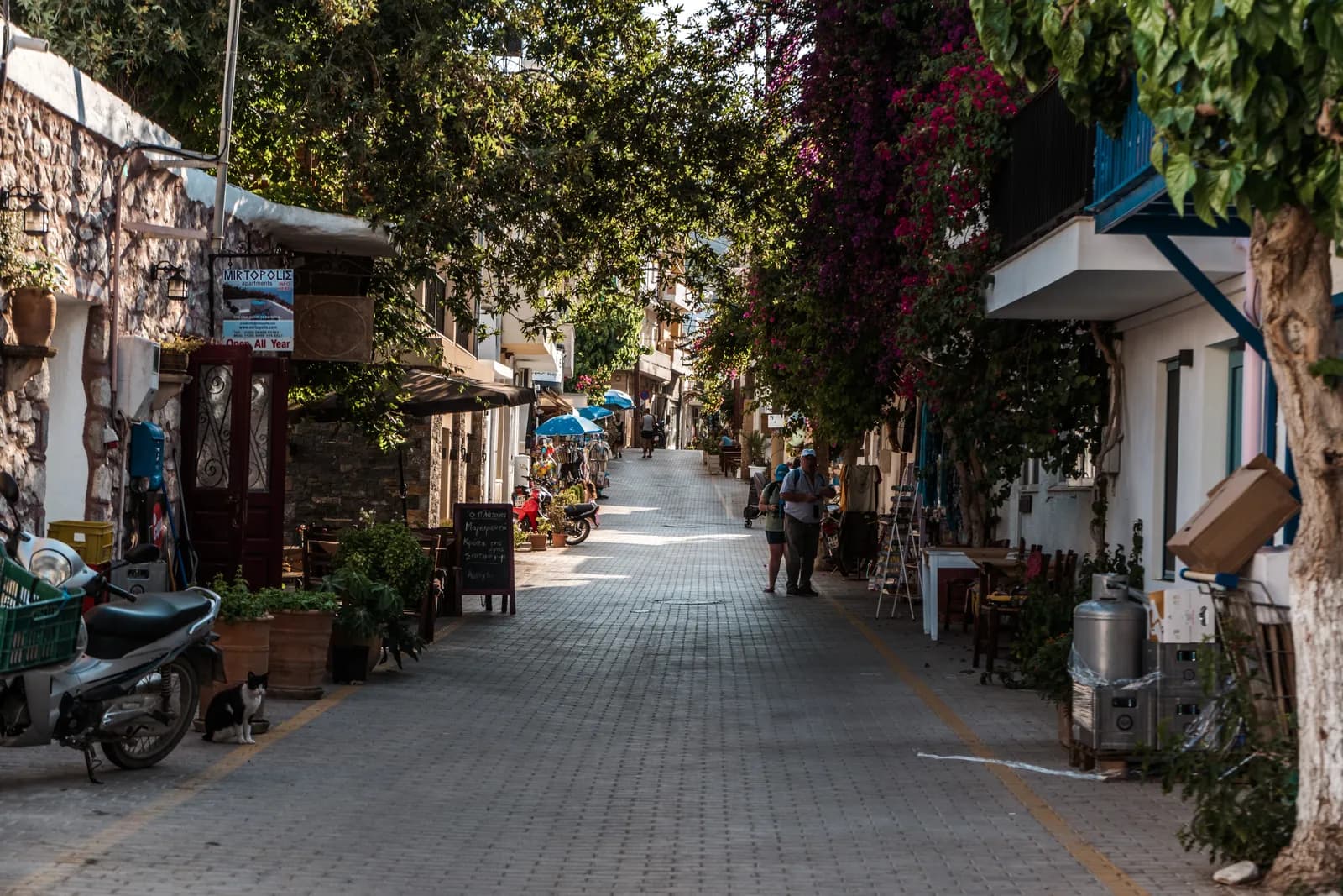 La rue principale de Myrtos, ses arbres, ses bougainvilliers en fleurs et ses petits commerces