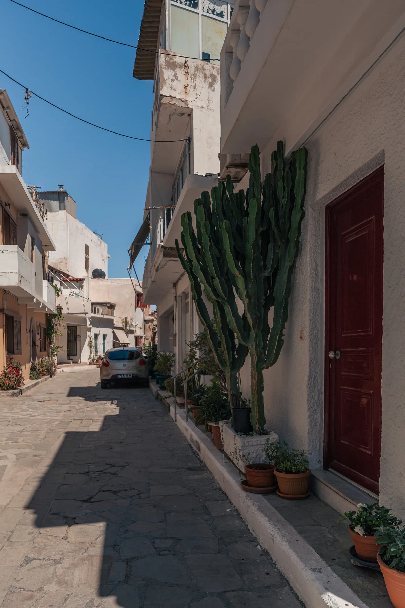 Ruelle blanche du vieux quartier d'Ierapetra, avec un grand cactus et des pots de fleurs devant une porte rouge