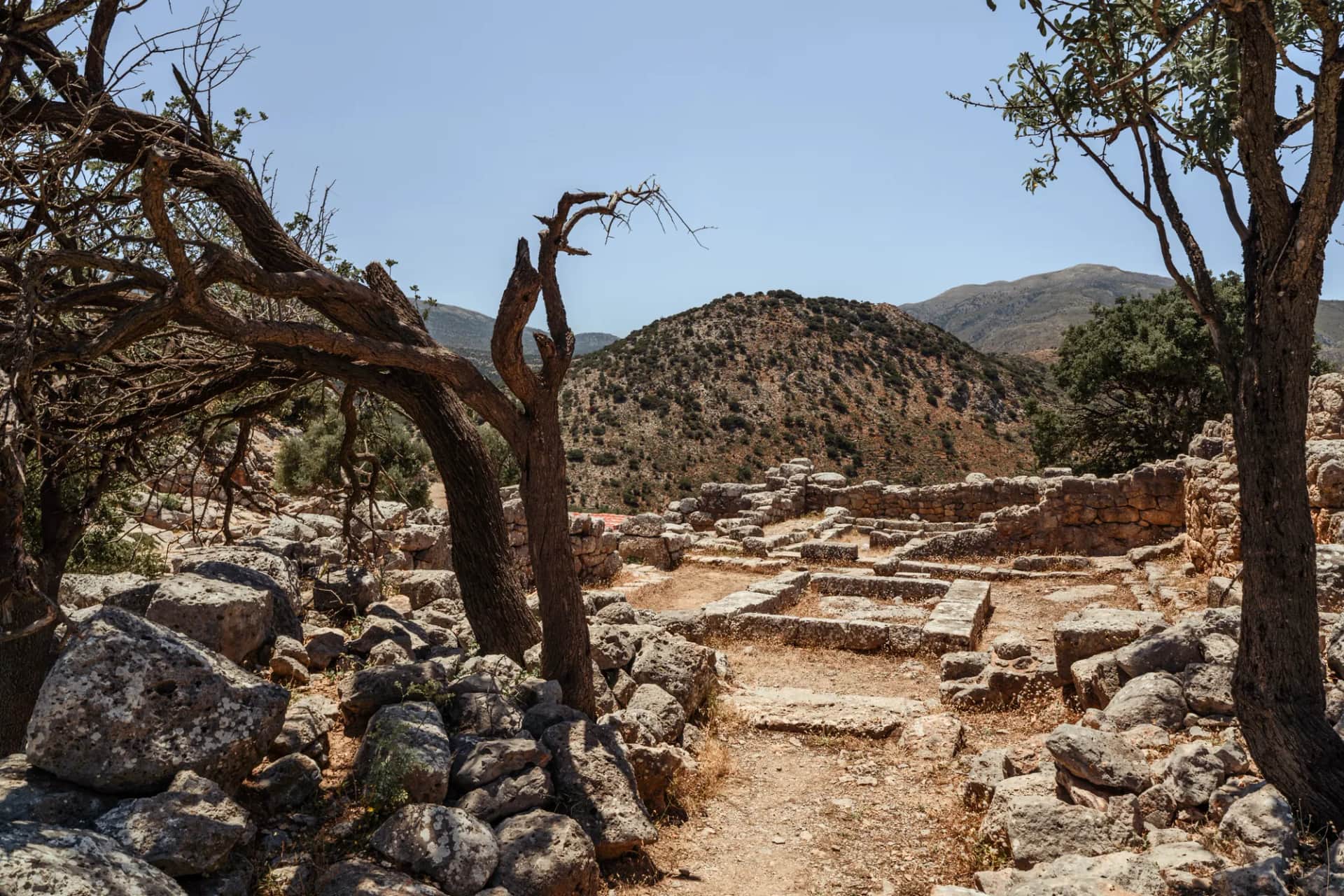 Les ruines de Lato entre des oliviers noueux, sur le col qui sépare les deux acropoles de la cité