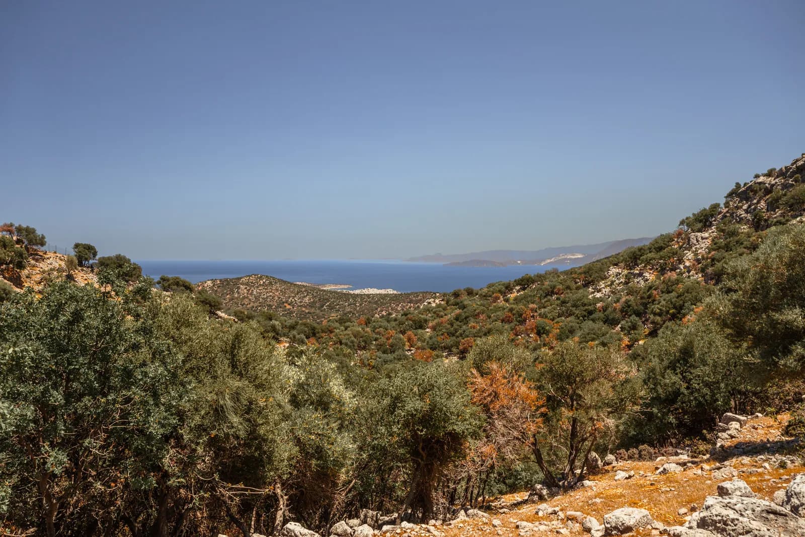 Vue depuis le site de Lato sur les collines couvertes de maquis et le golfe de Mirabello au loin
