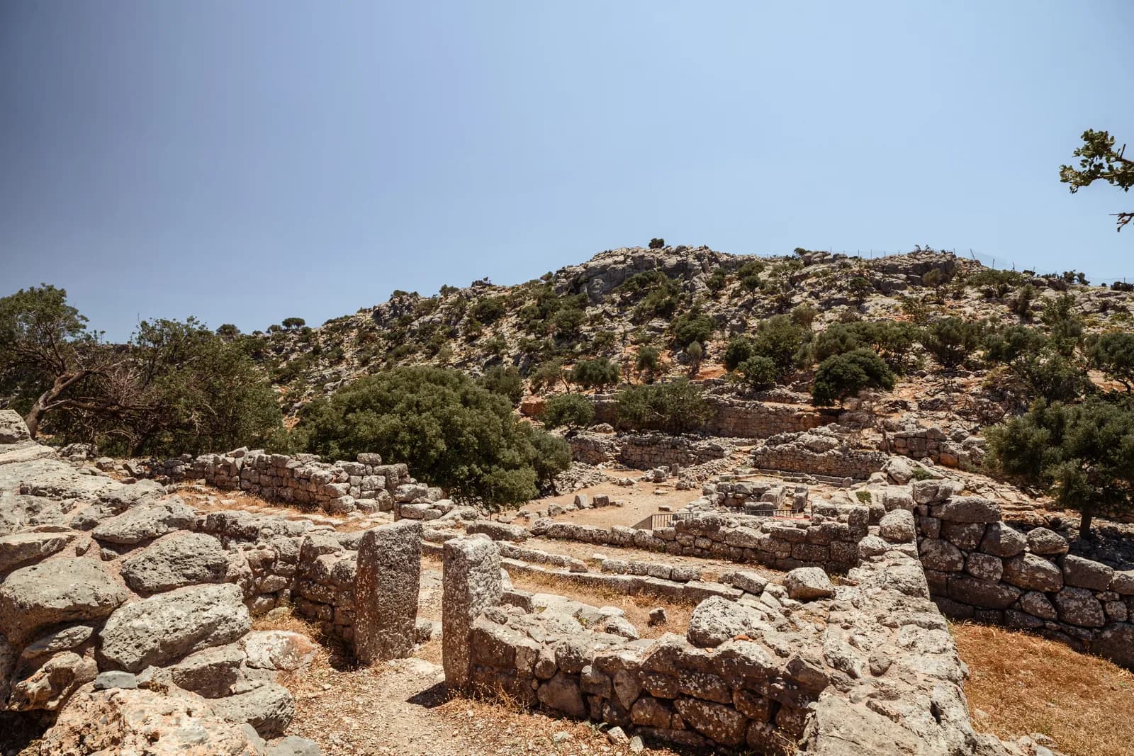 Fondations de maisons et seuils de pierre de la cité dorienne de Lato parmi les arbustes