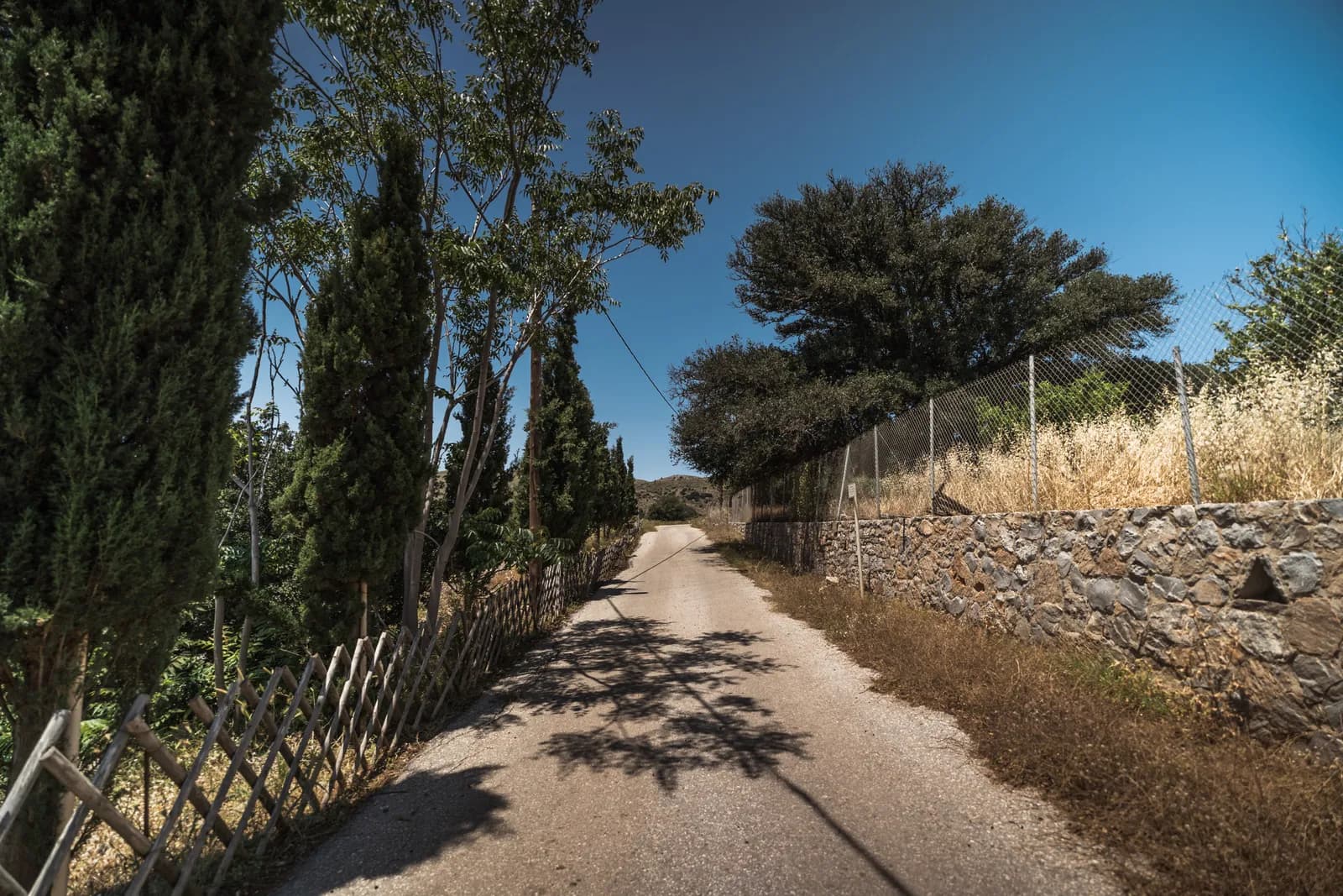 Petite route de campagne entre cyprès et murets de pierre sèche dans l'est de la Crète