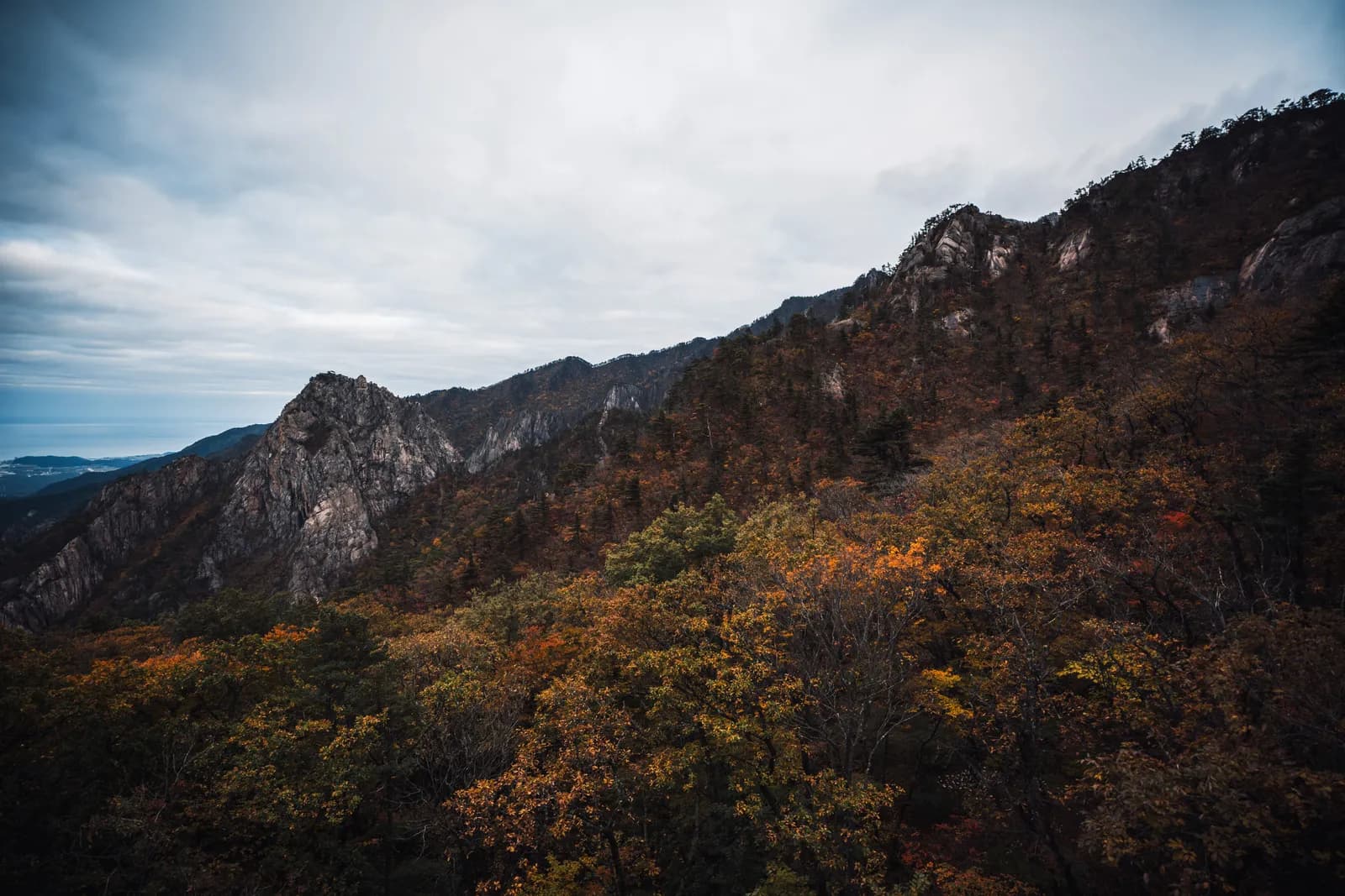 Voyager au automne