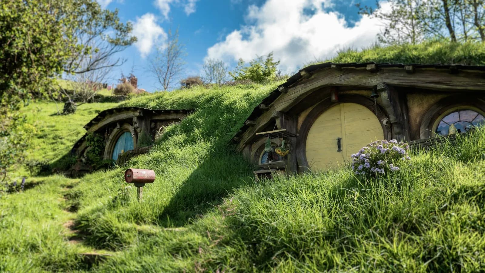 Hobbit holes with round yellow and blue doors set into a grassy hillside at the Hobbiton Movie Set