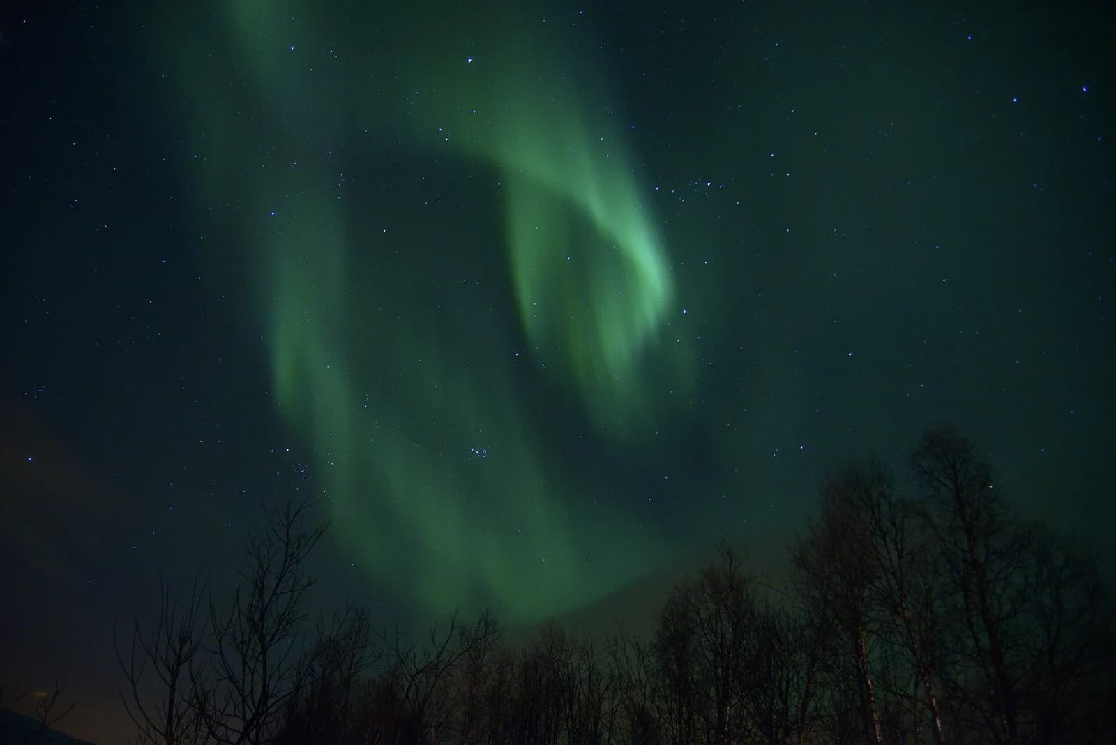 Aurore boréale au-dessus de Tromsø, en février