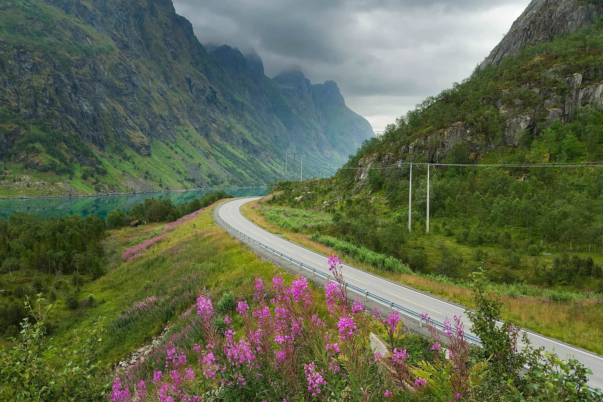La route E10 (Lofast) le long de l'Ingelsfjorden, à Hadsel, sur la route des Lofoten
