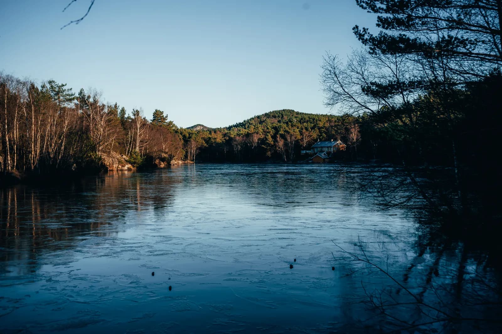 Baie calme et arbres reflétés dans l’eau, à Hommersåk