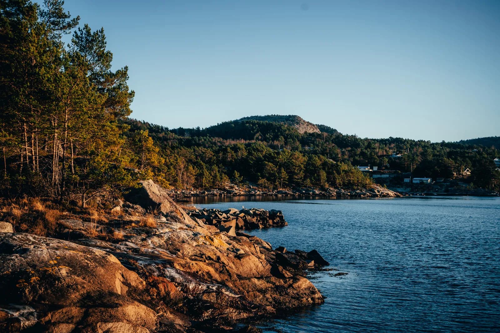 Rive rocheuse dorée par la lumière de fin d’après-midi
