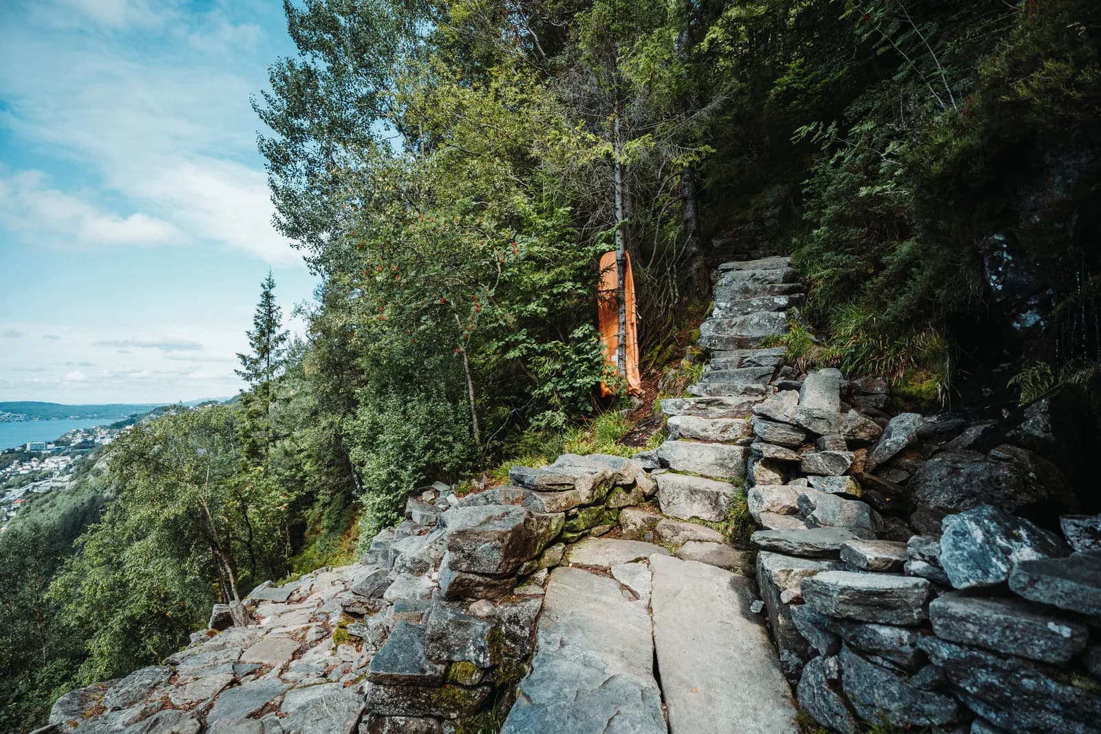 Les marches de pierre de Stoltzekleiven dans la forêt, le 29 juillet 2024