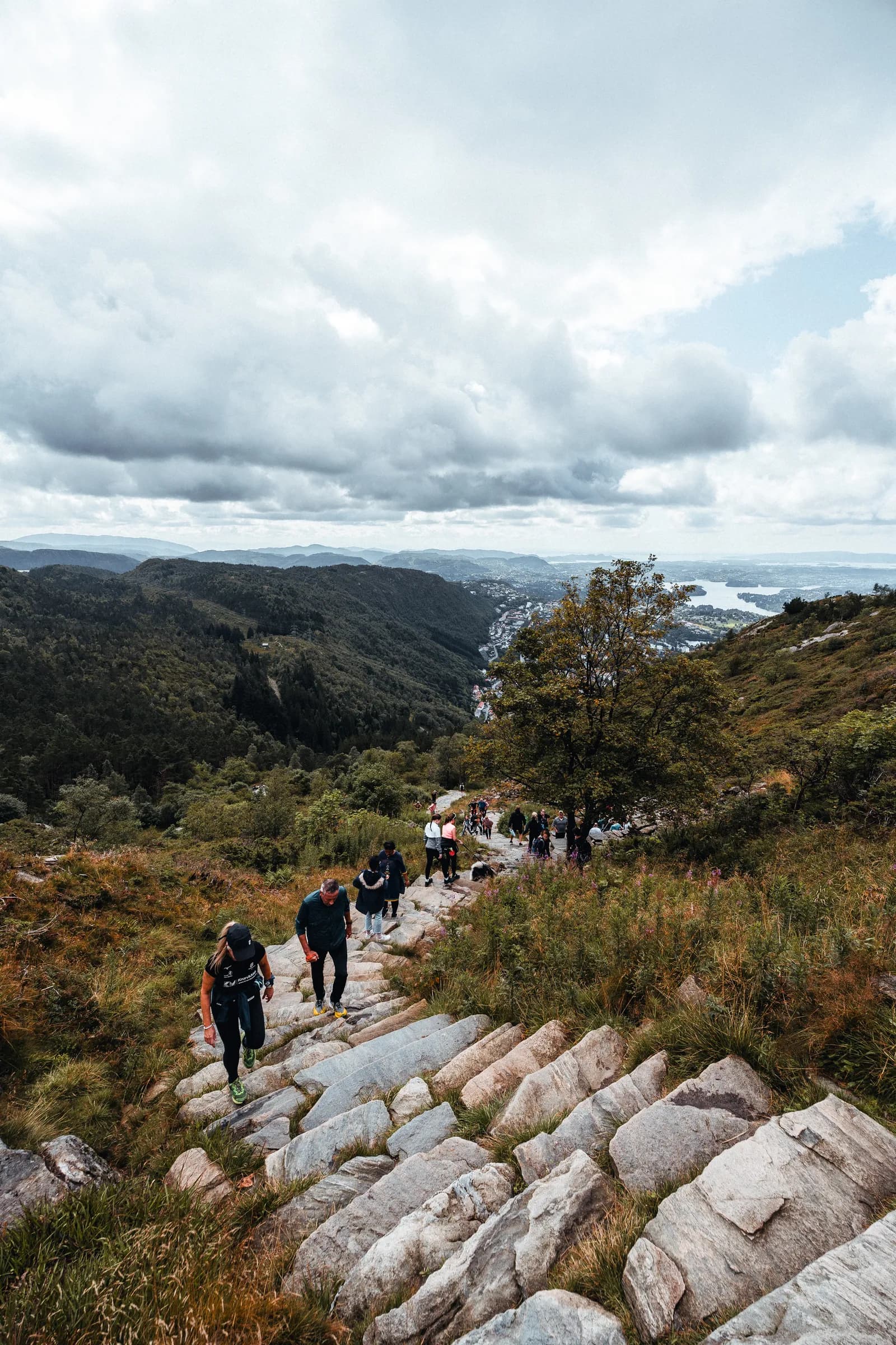 Les marches de pierre du sentier Sherpa qui monte à Ulriken, le 11 août 2024