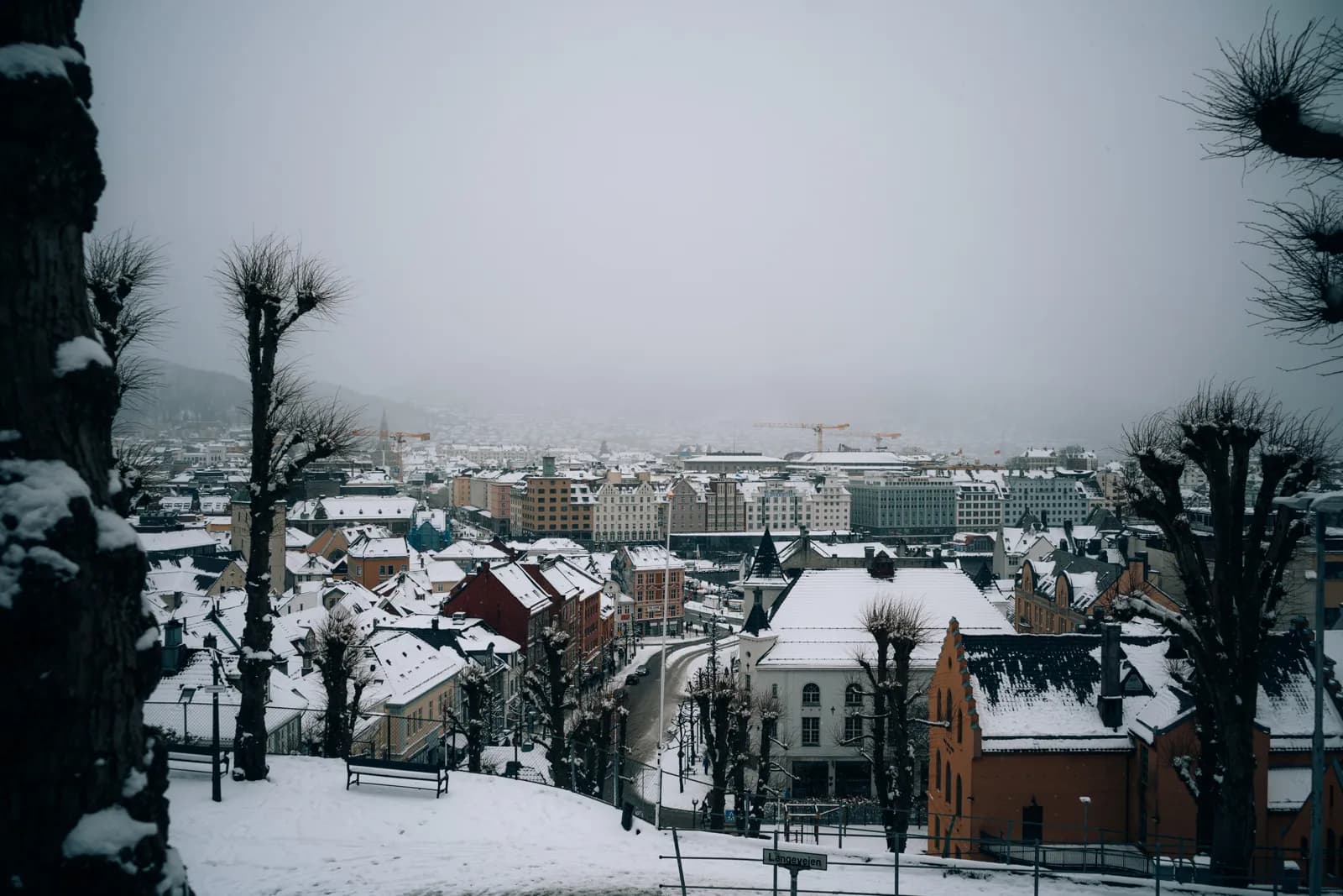 Toits de Bergen sous la neige, le 11 mars 2023