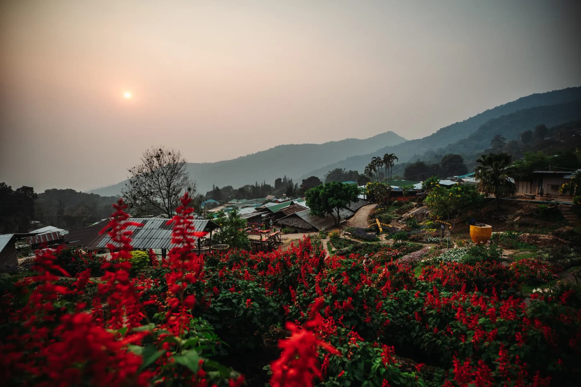 Chiang Mai et la saison des brûlis : quand partir pour éviter la fumée, Thaïlande, guide de voyage Âme Bohème