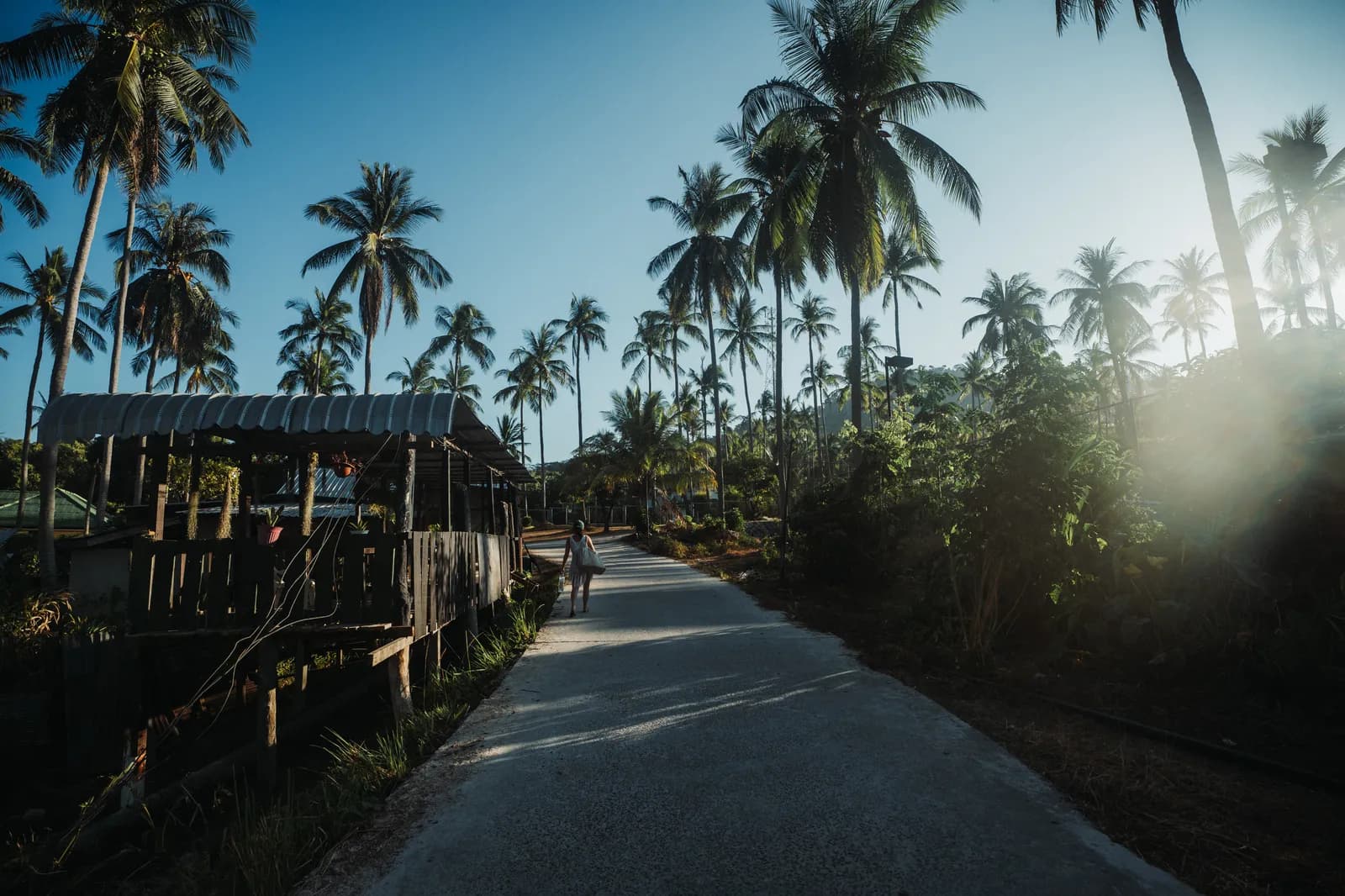 Chemin bordé de cocotiers et de cabanes en bois à l'intérieur de Koh Racha Yai, en fin de journée