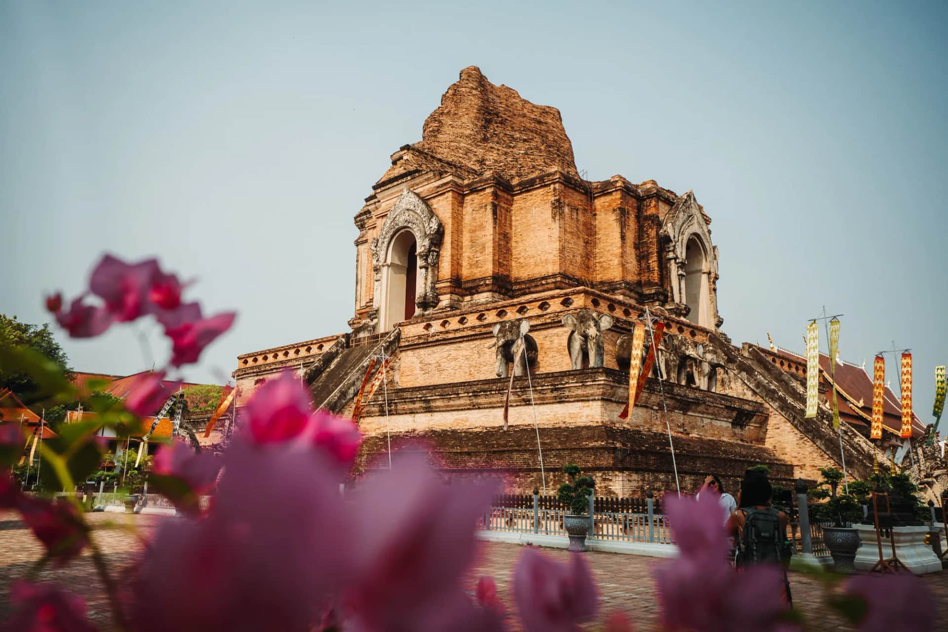 Grand chedi en ruine de Wat Chedi Luang vu à travers des bougainvilliers roses, dans la vieille ville de Chiang Mai