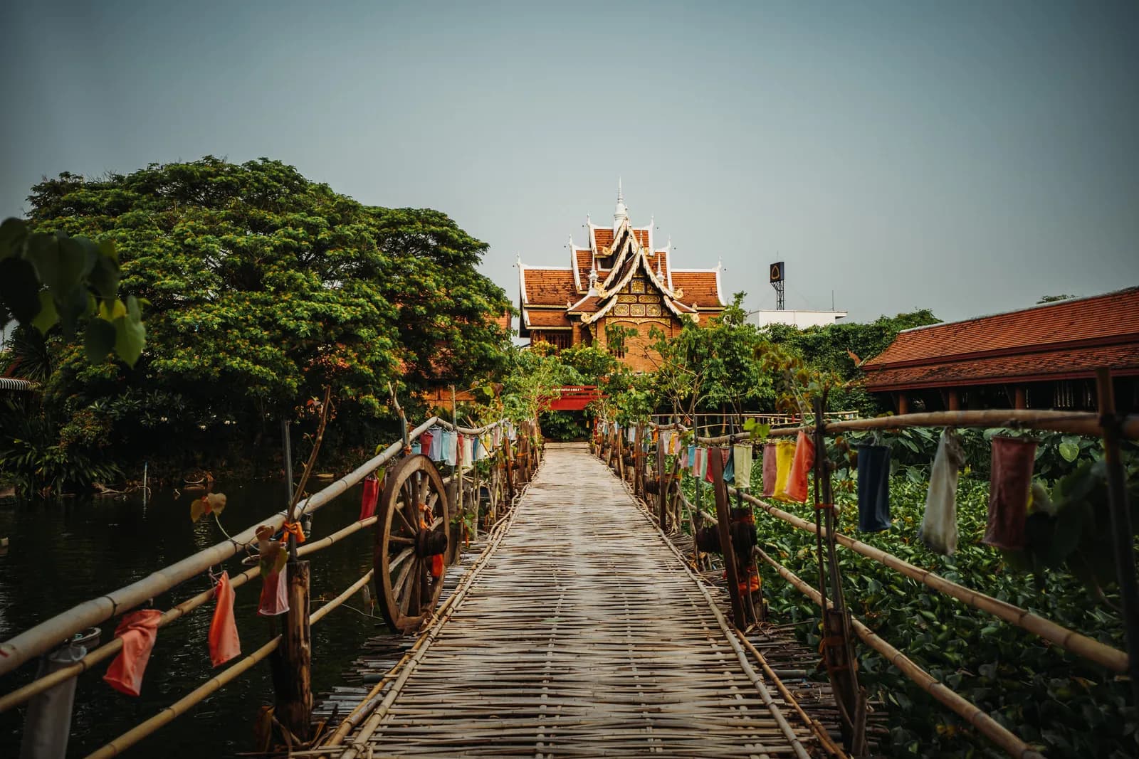 Pont de bambou tressé au-dessus des jacinthes d'eau menant au vihan de Wat Chet Lin, dans le sud-ouest de la vieille ville