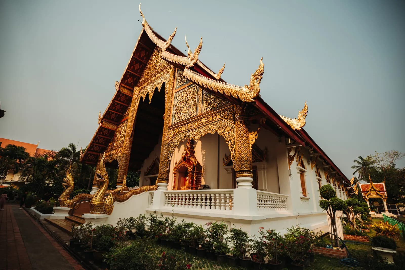 Façade blanche et or d'un vihan de Wat Phra Singh à escalier de nagas dorés, entouré de massifs fleuris