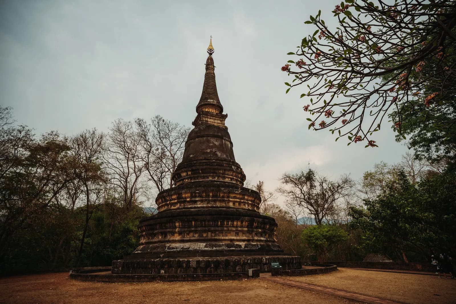 Grand chedi ancien de Wat Umong au milieu de la forêt sèche, au pied du Doi Suthep à Chiang Mai