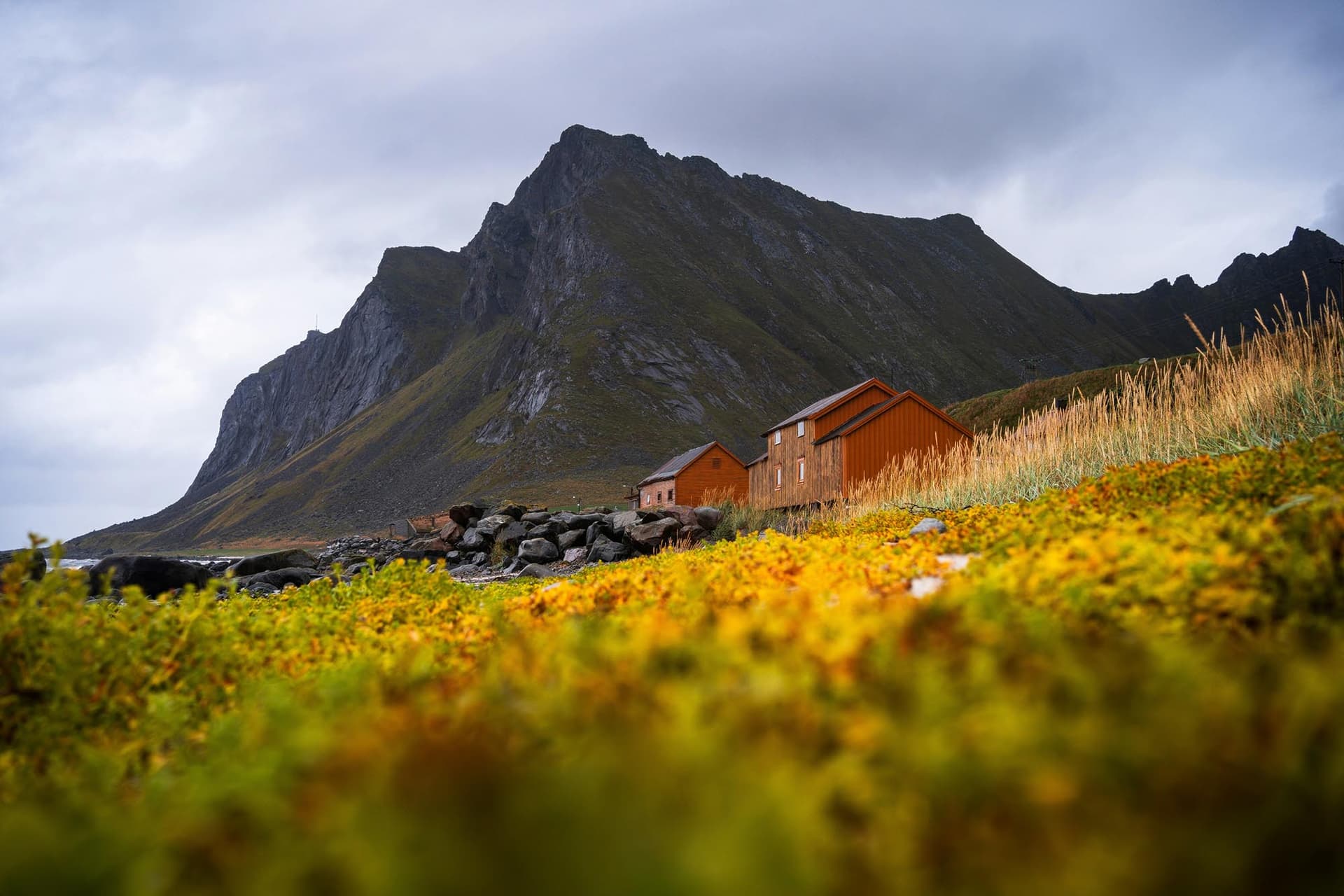 Village de pêcheurs aux Lofoten en été
