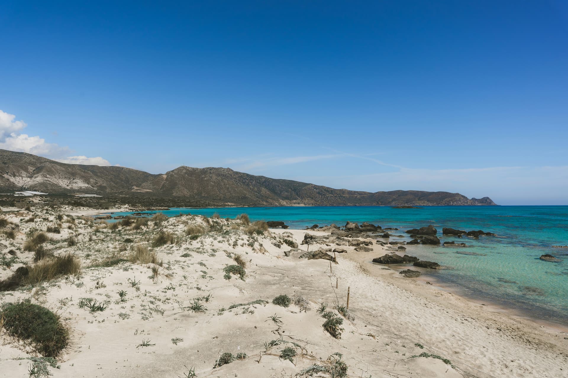 Protected endemic vegetation on the Elafonisi islet, Natura 2000 reserve