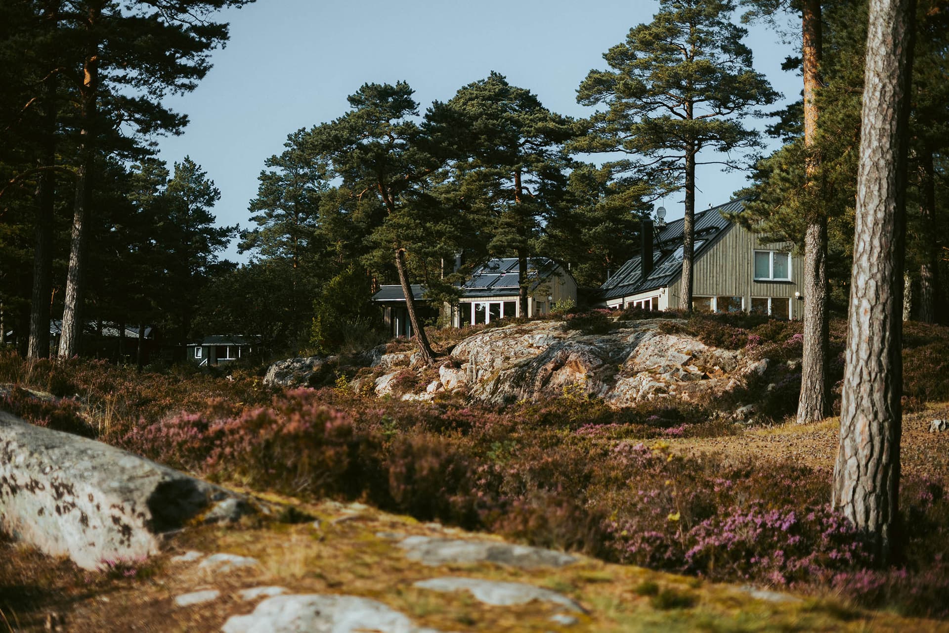 Relaxing in Sandhamn