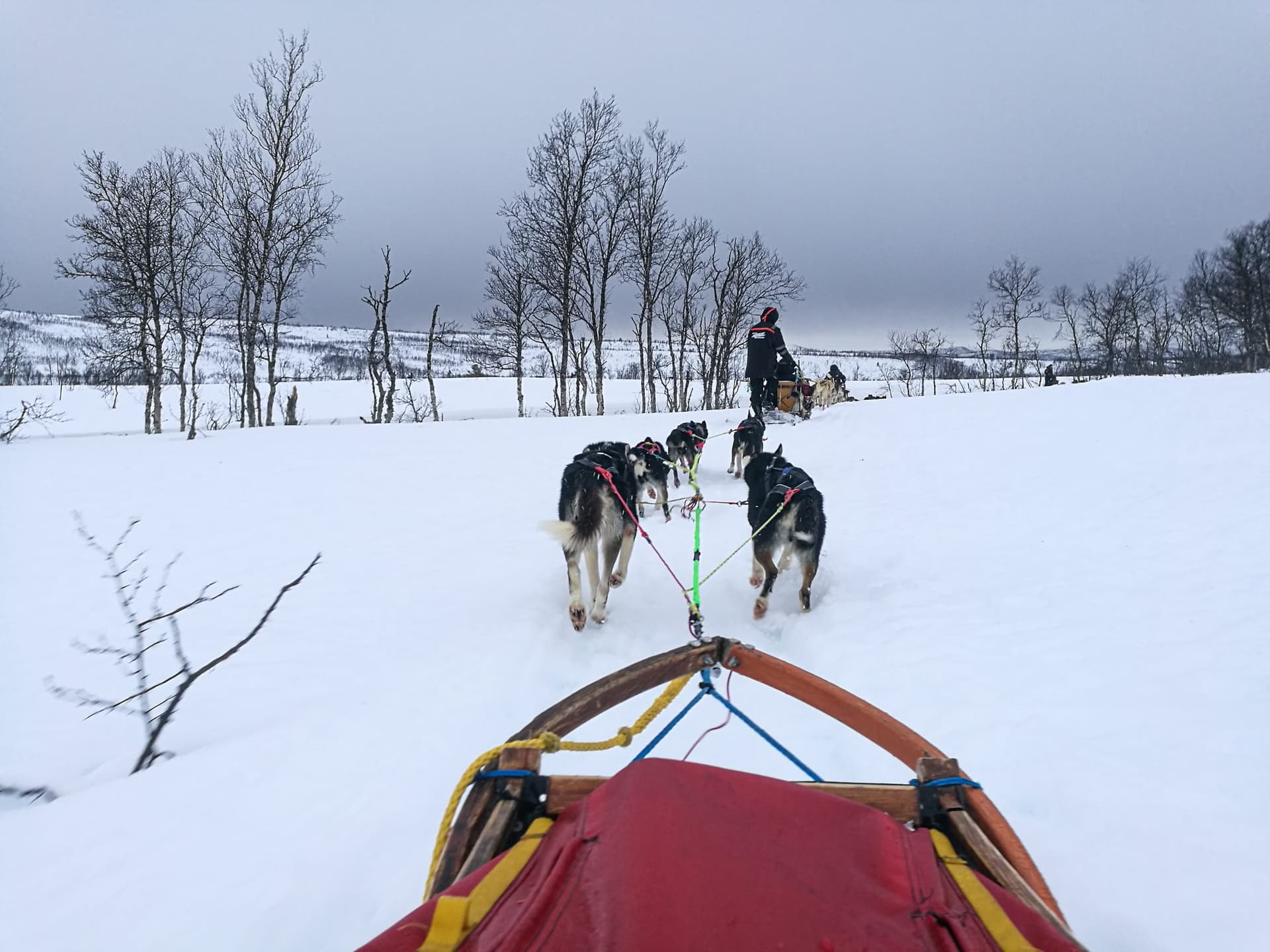 Norvège – Une semaine à Tromsø