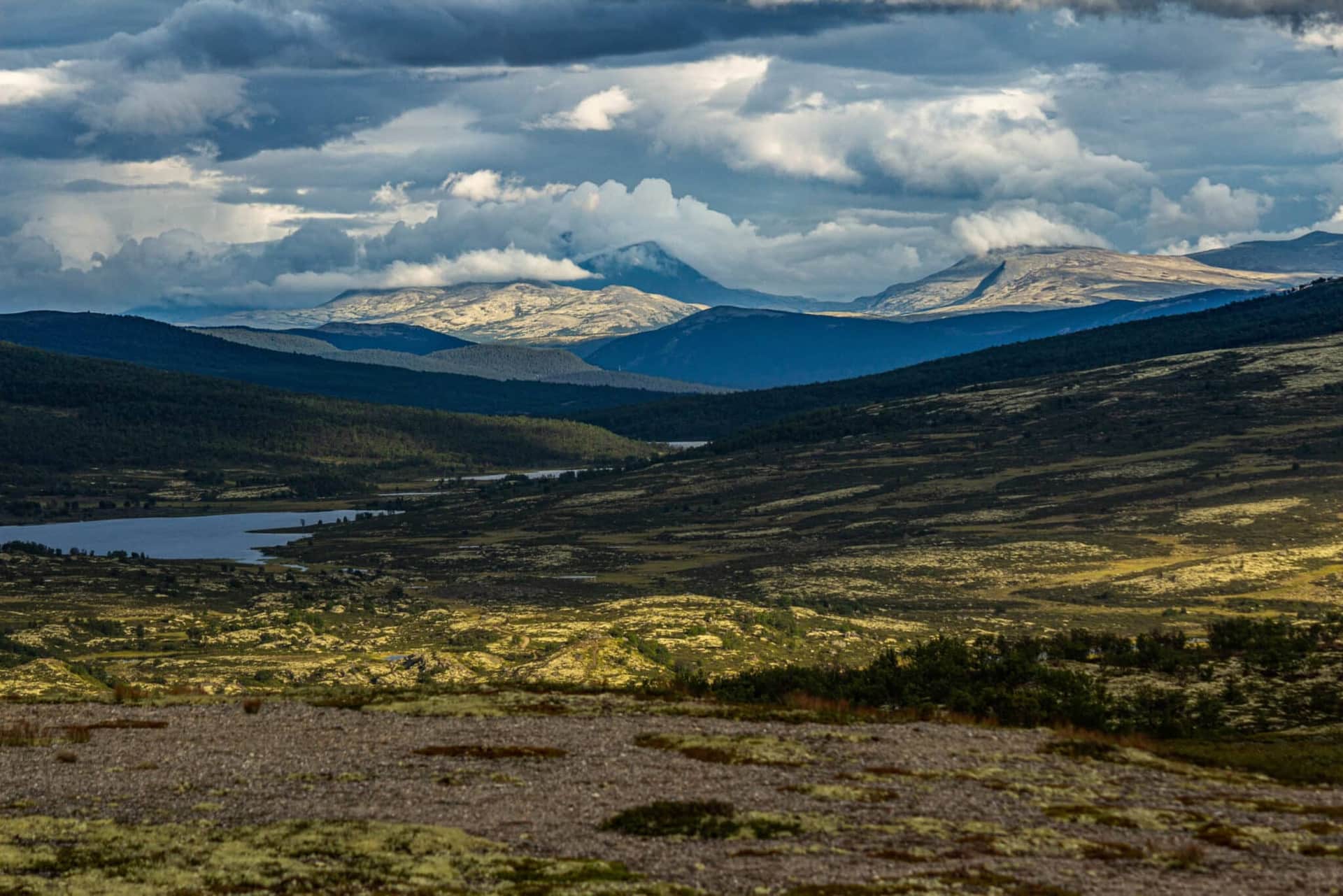 Roadtrip en immersion dans le dovrefjell en Norvège