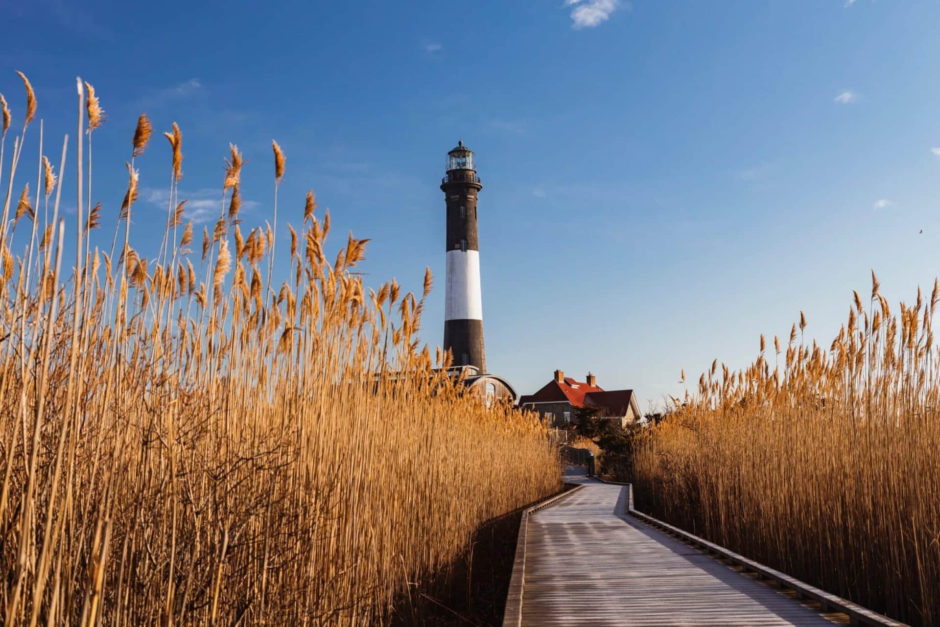 Escapade sur Fire Island – Ile paradisiaque à New York