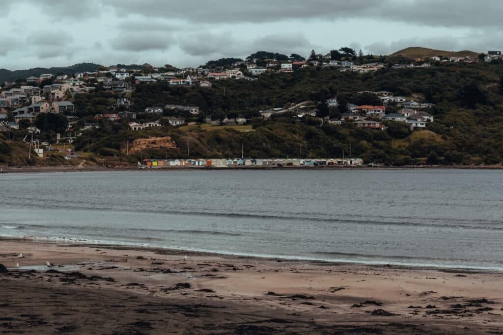 En route vers Wellington