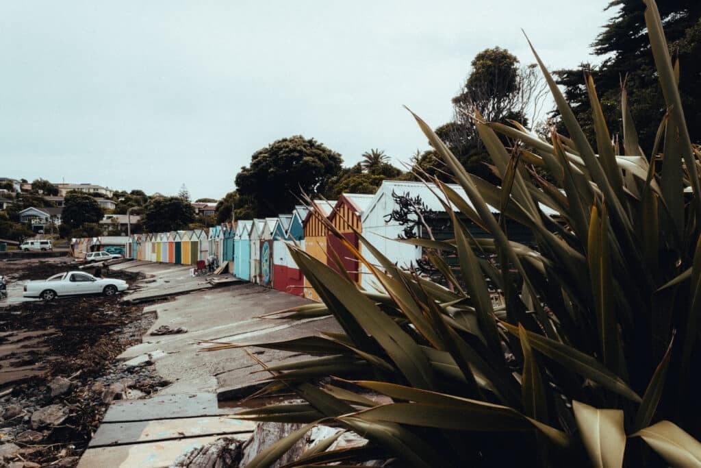 En route vers Wellington