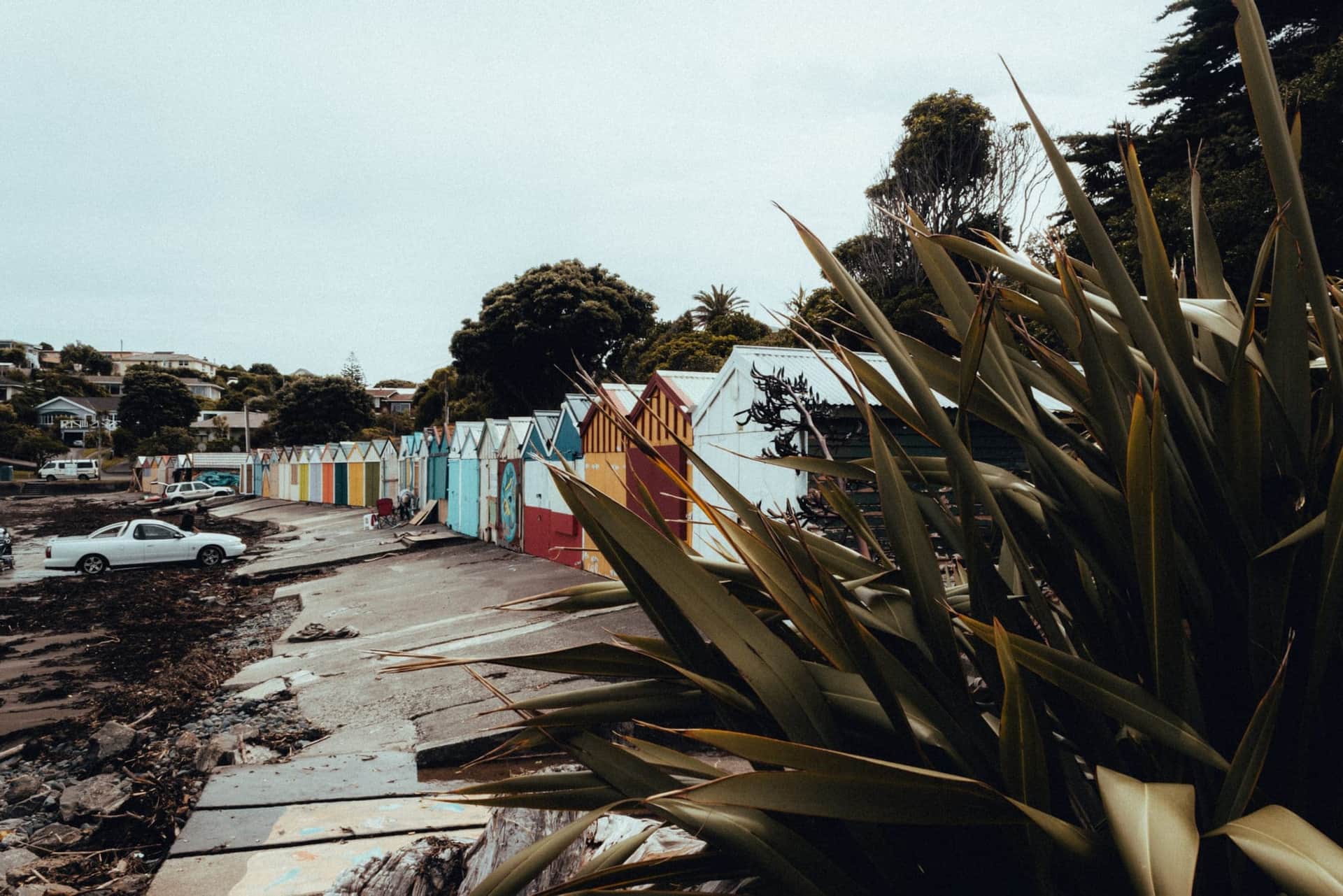 En route vers Wellington