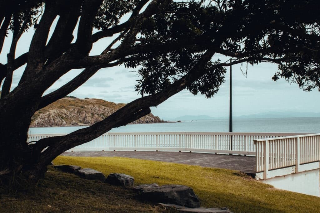 En route vers Wellington