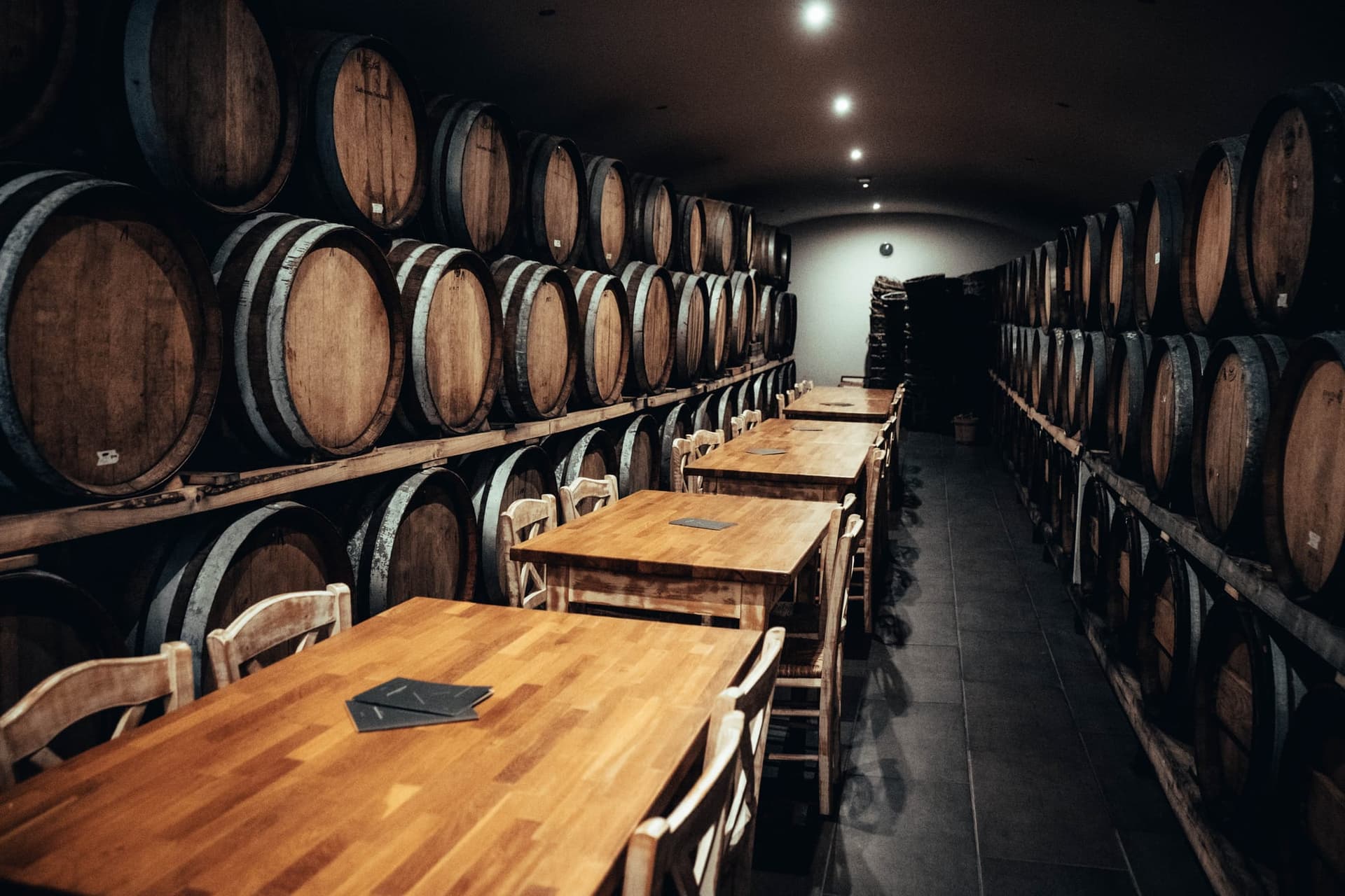 Dégustation des Vins de Santorin en 2024