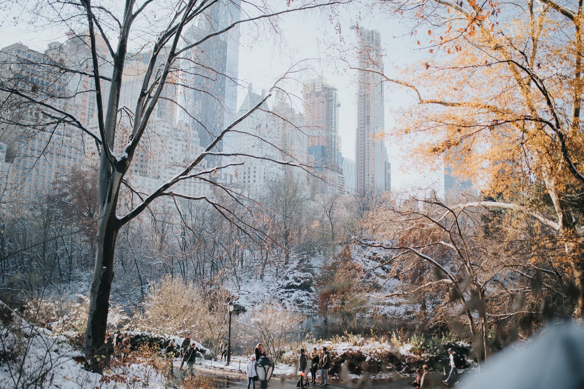 Saint Valentin Romantique à New York en 2022